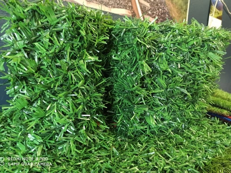 Ucuz Yaprak Çit - Ekonomik Fiyat