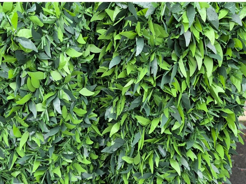 Çim Çit - Yapay Çim Örtü