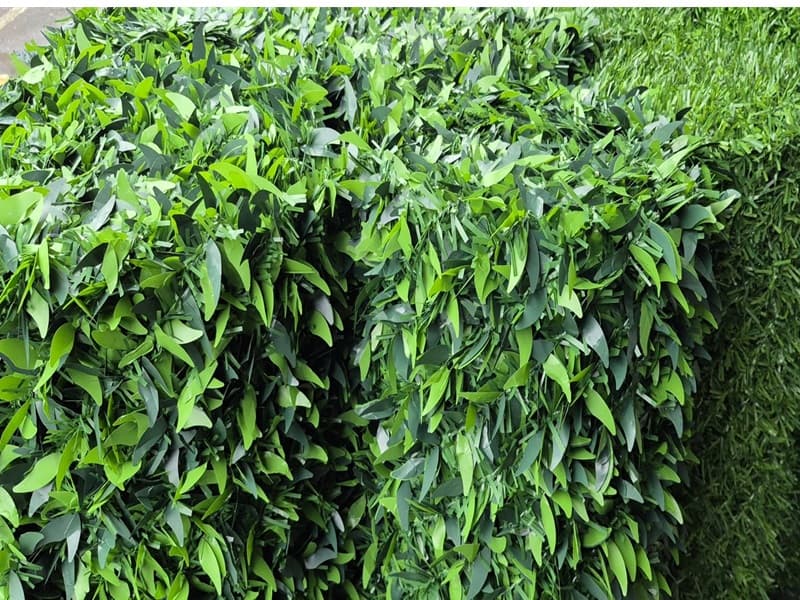 Yaprak Çit - Yapay Çit Örtüsü